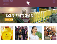 Tablet Screenshot of flpil.com